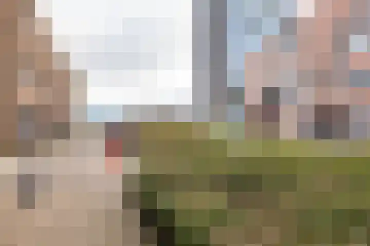 Het Hout 205 Groningen thumbnail 57