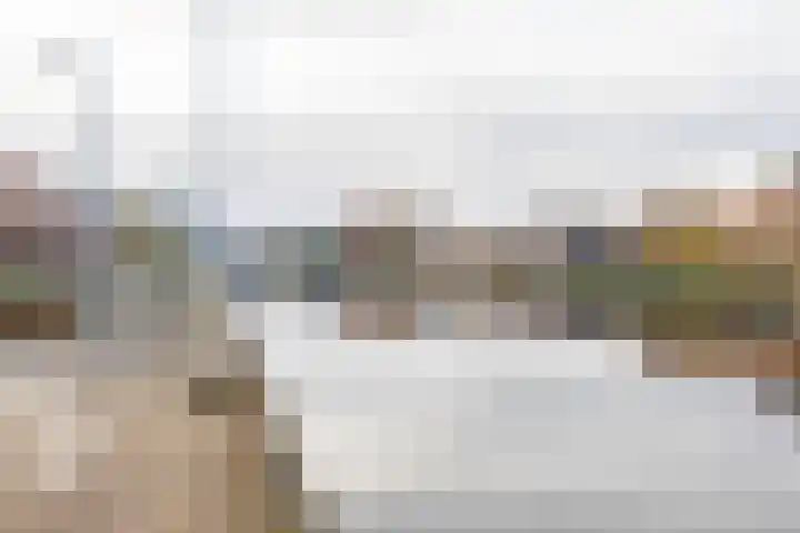 Het Hout 205 Groningen thumbnail 59