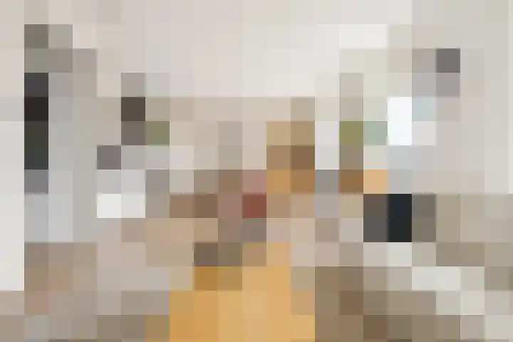 Het Hout 28 Houten thumbnail 13