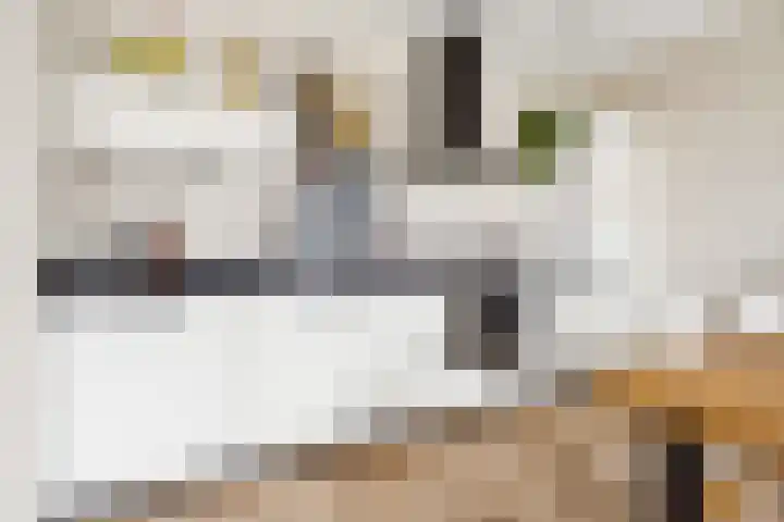 Het Hout 28 Houten thumbnail 19