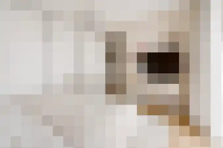 Het Hout 28 Houten thumbnail 24