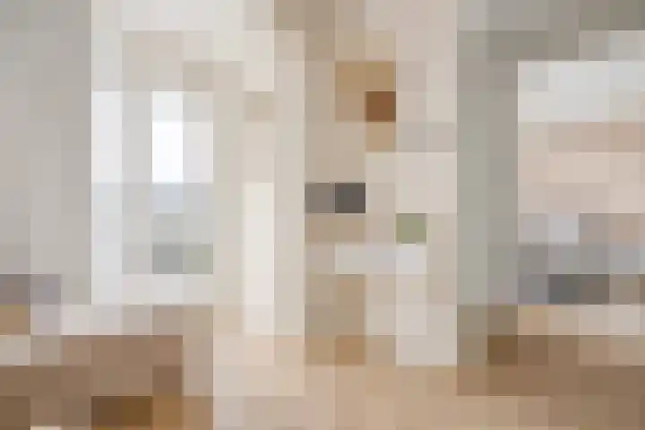 Het Hout 28 Houten thumbnail 26