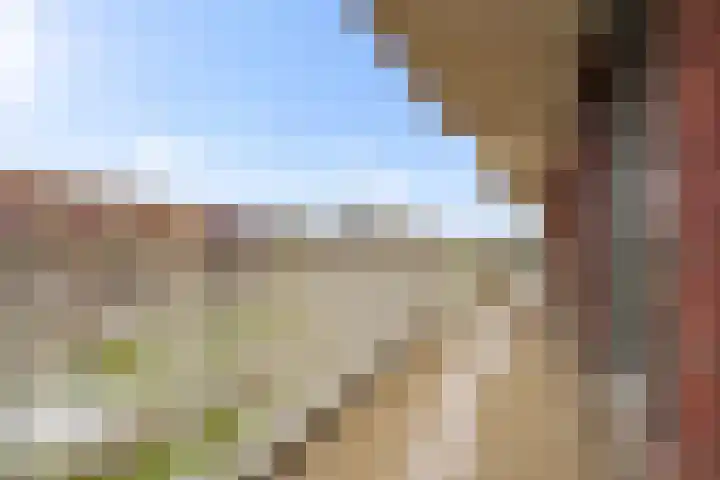 Het Hout 28 Houten thumbnail 34