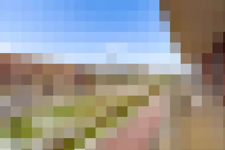 Het Hout 28 Houten thumbnail 37