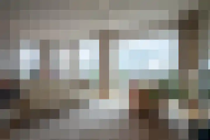 Het Hout 31 Groningen thumbnail 14