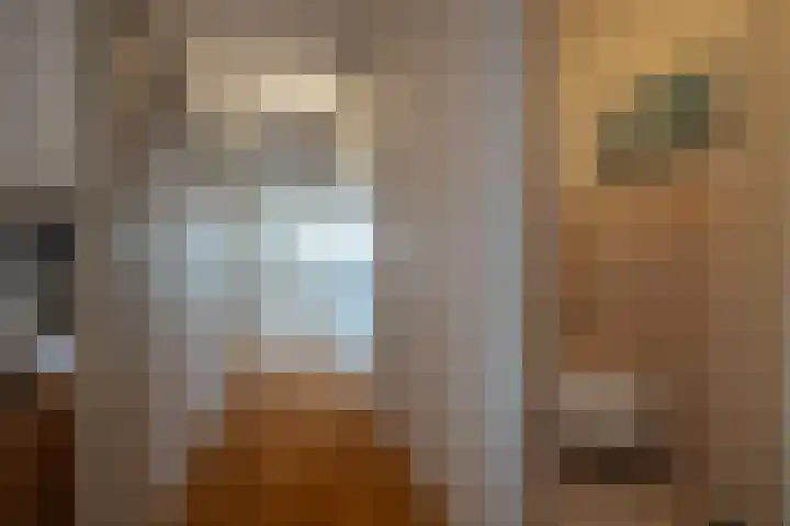 Het Hout 31 Groningen thumbnail 26
