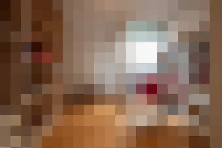 Het Hout 31 Groningen thumbnail 29