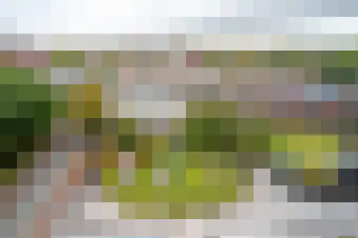 Het Hout 31 Groningen thumbnail 36