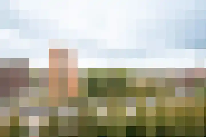 Het Hout 31 Groningen thumbnail 39