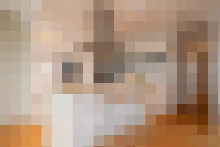 Het Hout 31 Groningen thumbnail 5