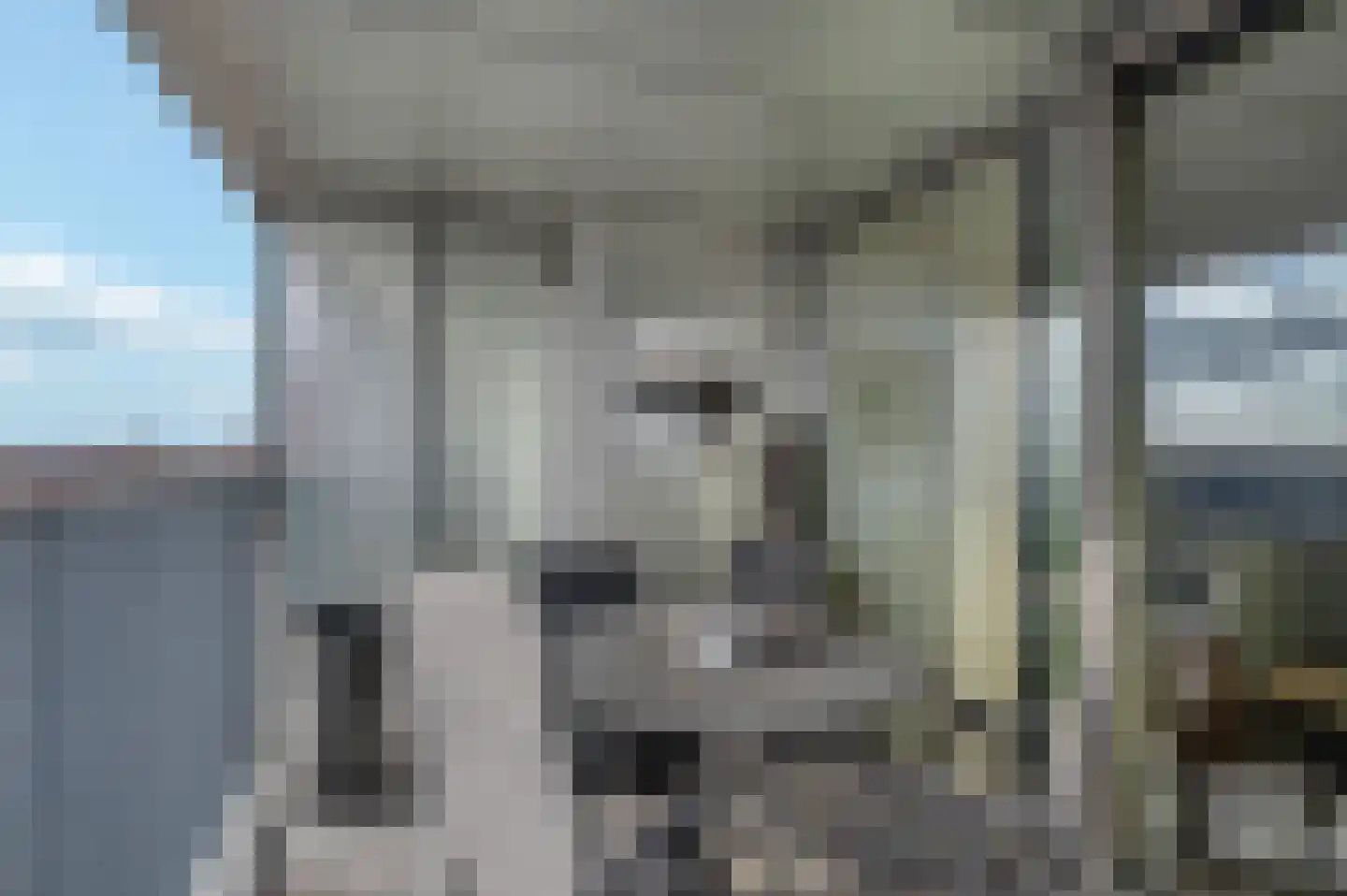 Het Hout 37 Groningen thumbnail 14