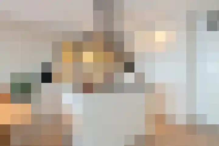 Het Hout 37 Groningen thumbnail 27
