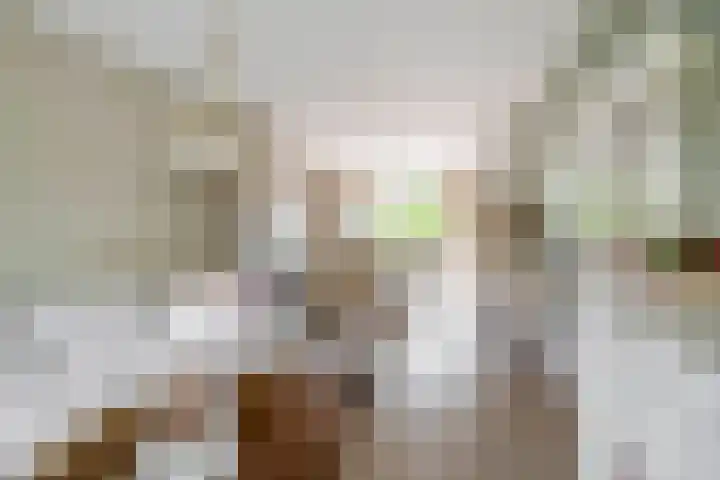 Het Hout 37 Groningen thumbnail 28