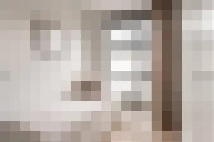 Het Hout 37 Groningen thumbnail 30