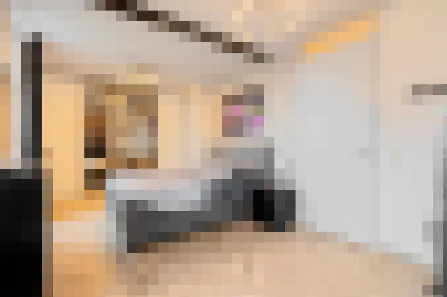 Het Hout 37 Groningen thumbnail 31