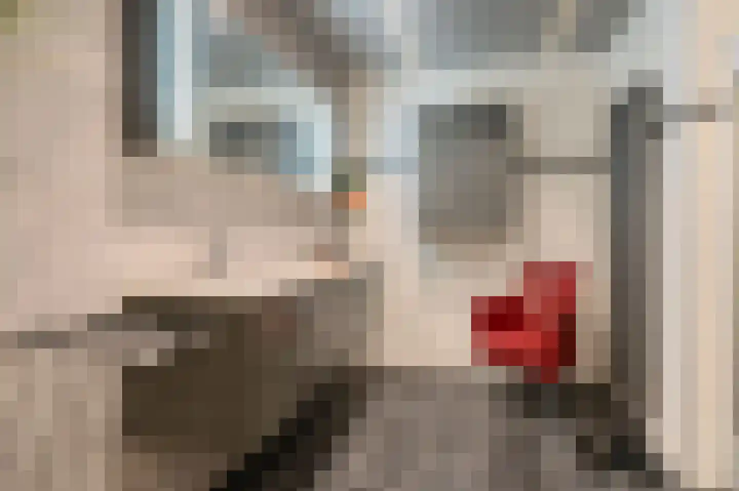 Het Hout 37 Groningen thumbnail 35