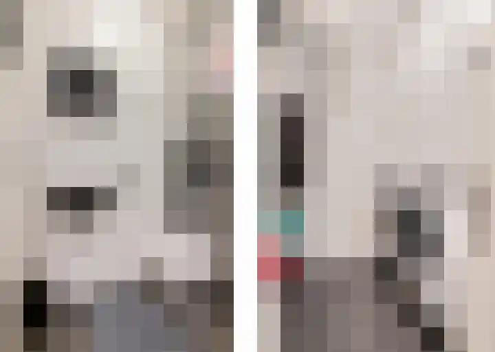 Het Hout 37 Groningen thumbnail 37