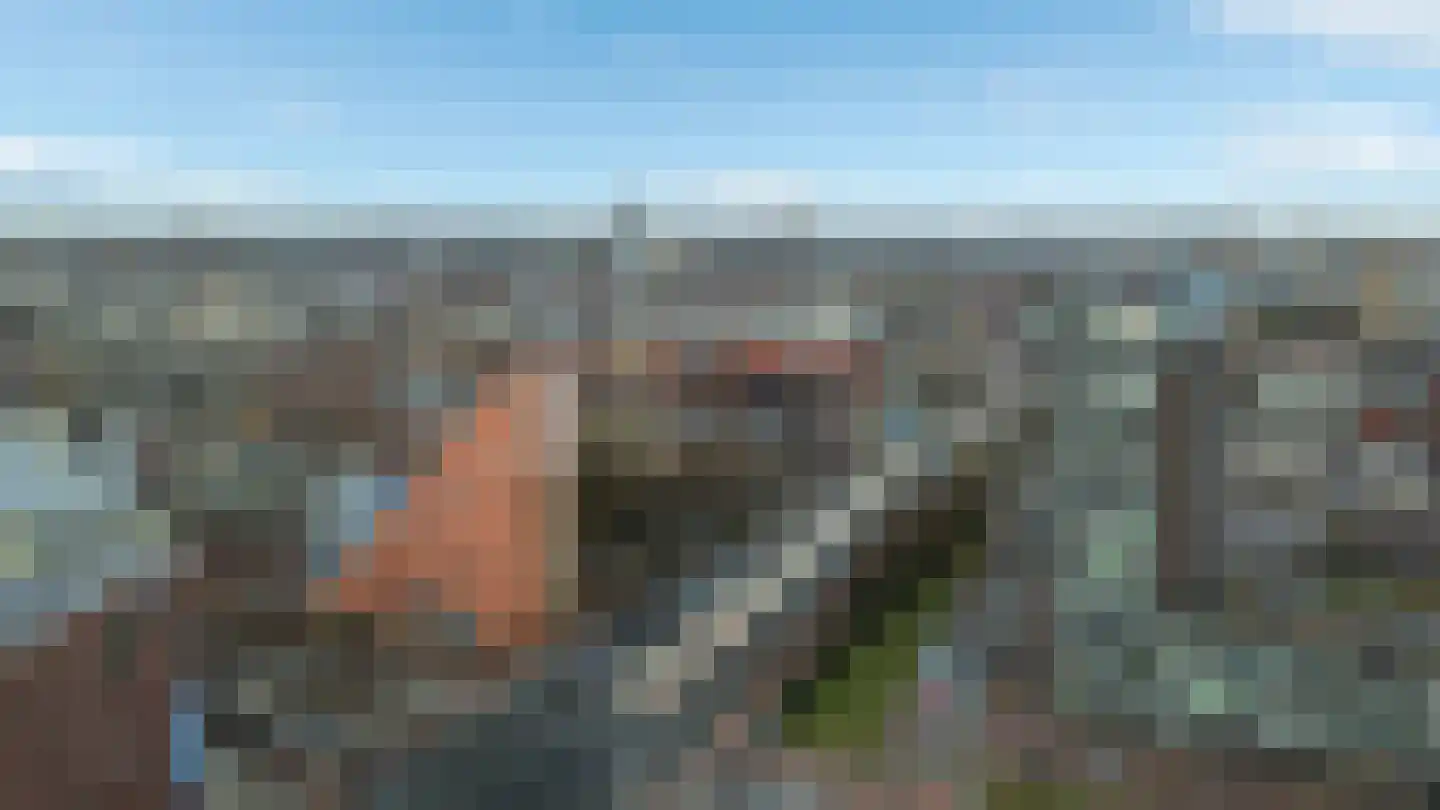 Het Hout 37 Groningen thumbnail 5