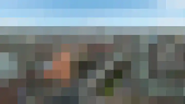 Het Hout 37 Groningen thumbnail 5