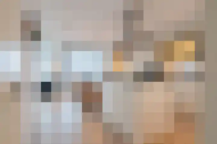 Het Hout 37 Groningen thumbnail 9
