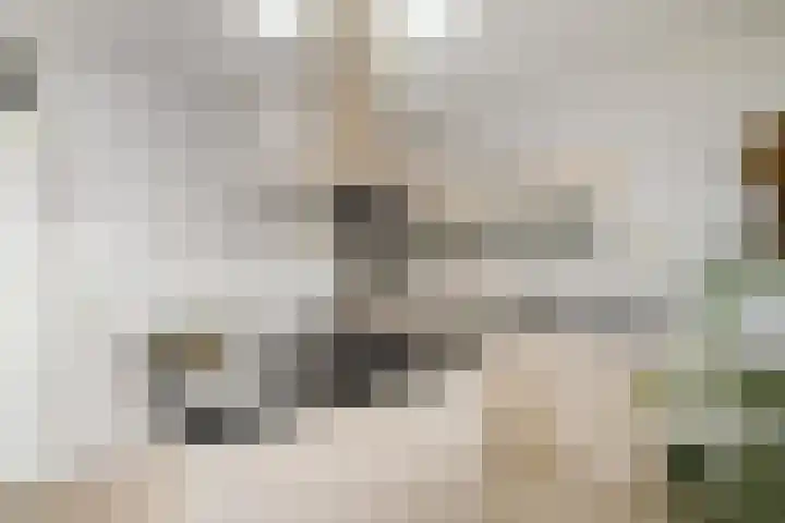 Het Hout 43 Groningen thumbnail 18