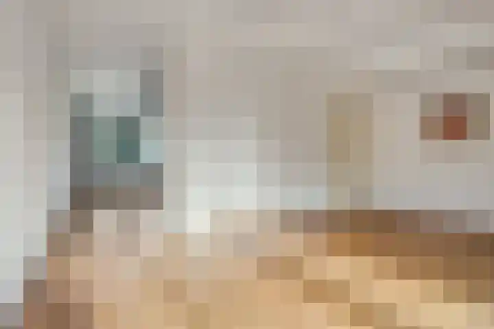 Het Hout 43 Groningen thumbnail 19