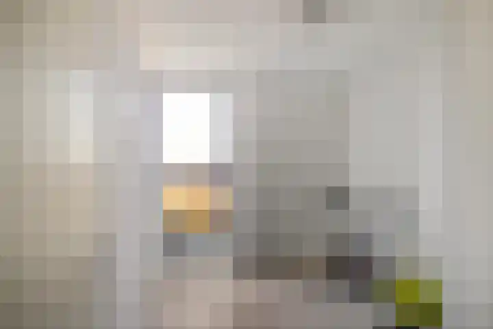 Het Hout 43 Groningen thumbnail 23
