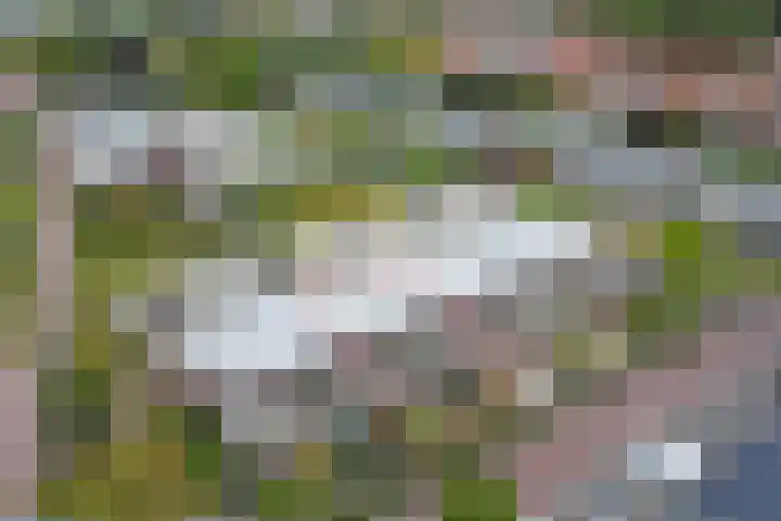 Het Hout 43 Groningen thumbnail 26