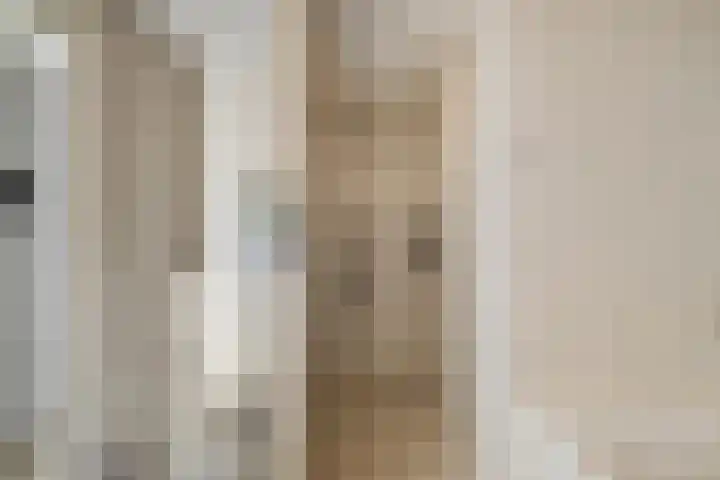 Het Hout 43 Groningen thumbnail 30