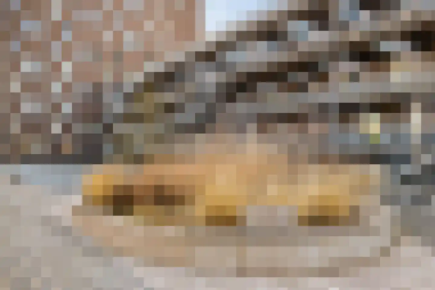 Het Hout 43 Groningen thumbnail 37