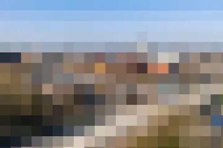 Het Hout 43 Groningen thumbnail 5