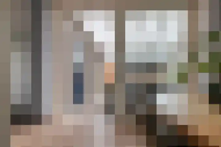 Het Hout 43 Groningen thumbnail 6