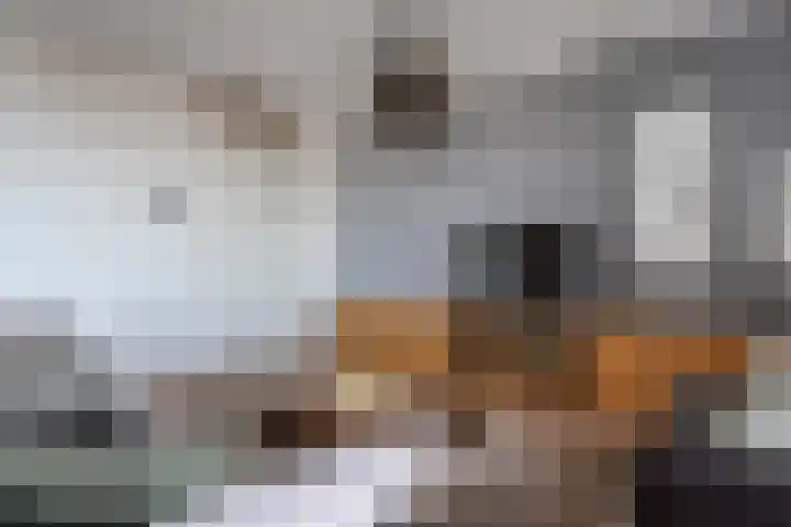 Het Hout 46 Groningen thumbnail 11