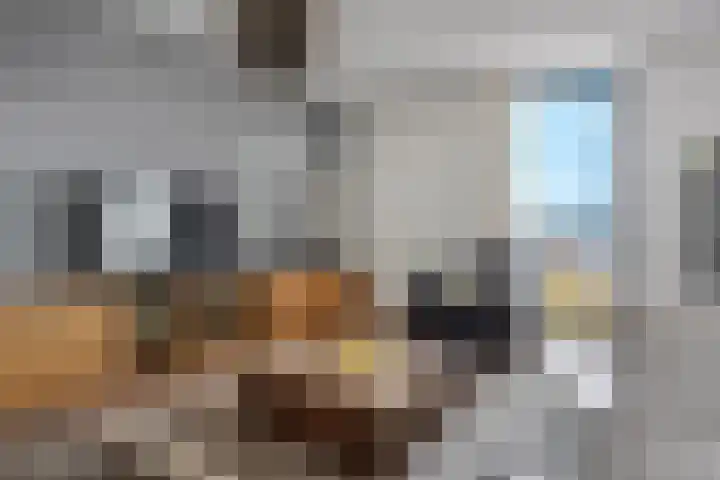 Het Hout 46 Groningen thumbnail 12