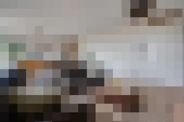 Het Hout 46 Groningen thumbnail 13