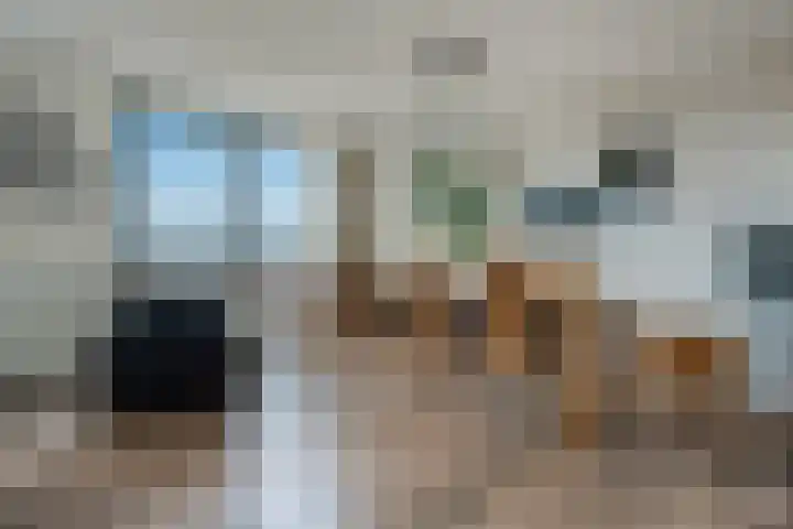 Het Hout 46 Groningen thumbnail 14