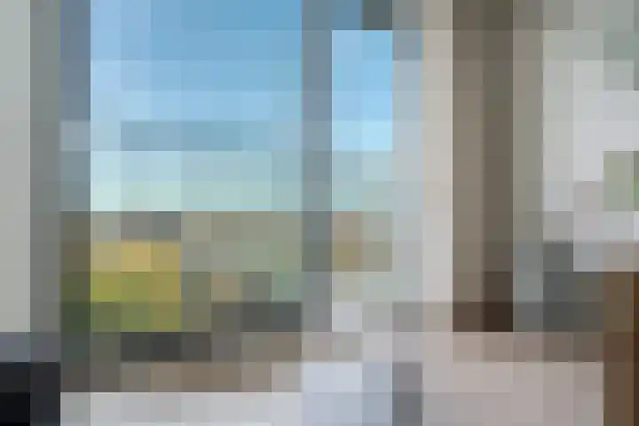 Het Hout 46 Groningen thumbnail 15
