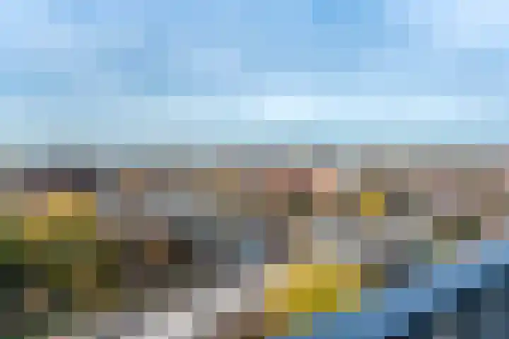 Het Hout 46 Groningen thumbnail 16