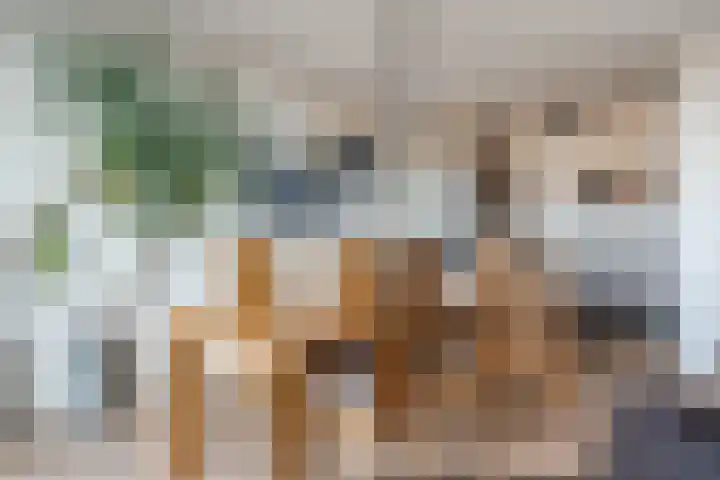 Het Hout 46 Groningen thumbnail 17