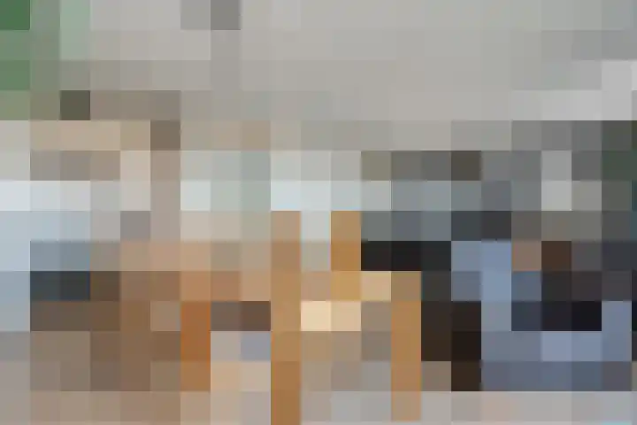 Het Hout 46 Groningen thumbnail 18