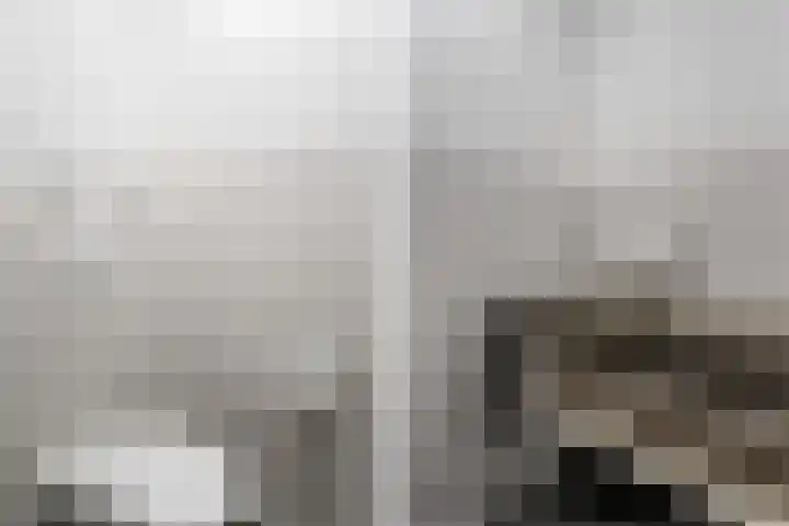 Het Hout 46 Groningen thumbnail 22