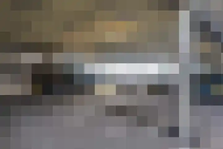 Het Hout 46 Groningen thumbnail 29