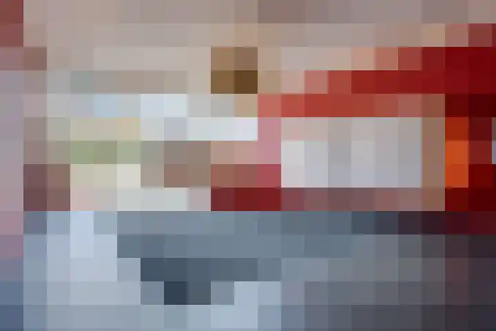 Het Hout 46 Groningen thumbnail 6