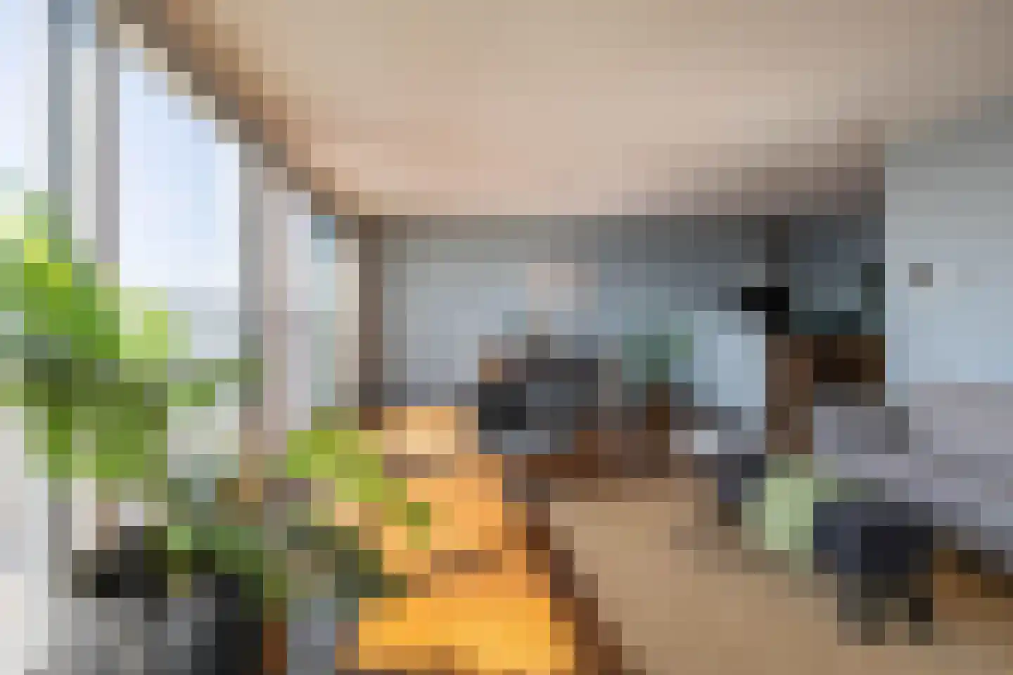 Het Hout 56 Groningen thumbnail 11