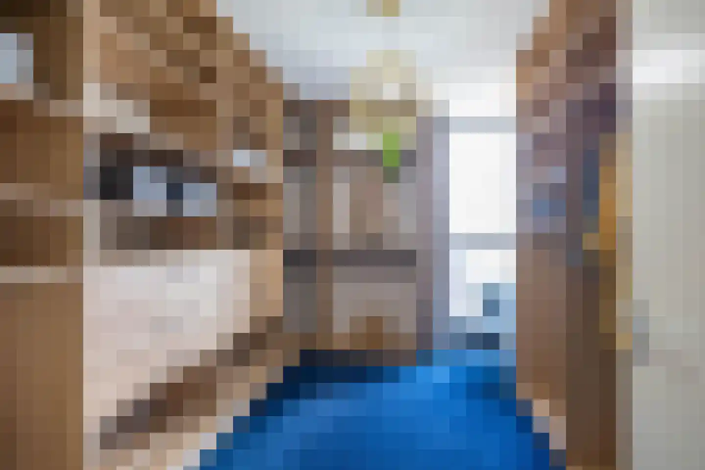 Het Hout 56 Groningen thumbnail 27