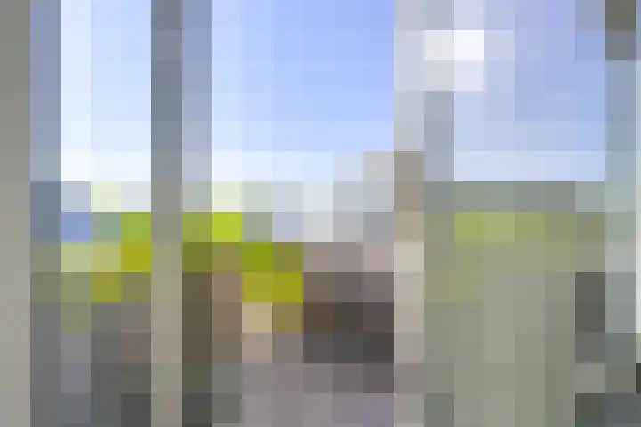 Het Hout 60 Houten thumbnail 15