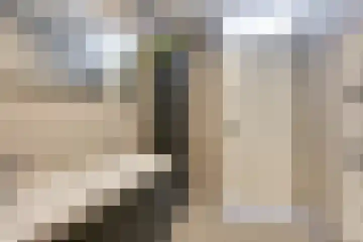 Het Hout 60 Houten thumbnail 29