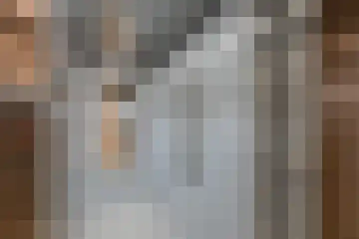 Het Hout 60 Houten thumbnail 35