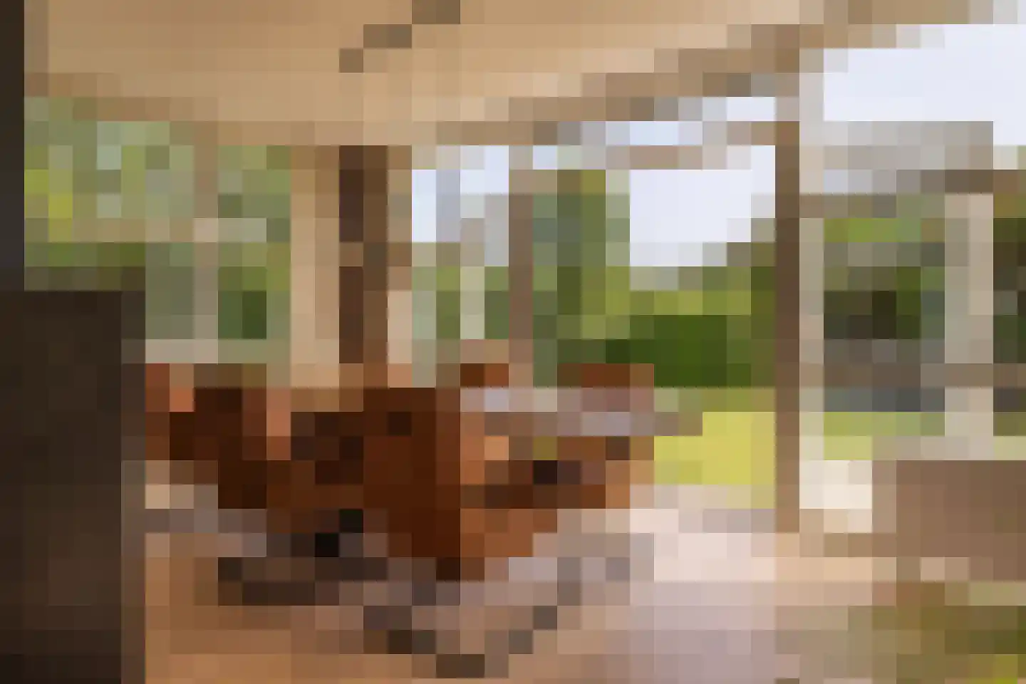 Het Hout 69 Arnhem thumbnail 12