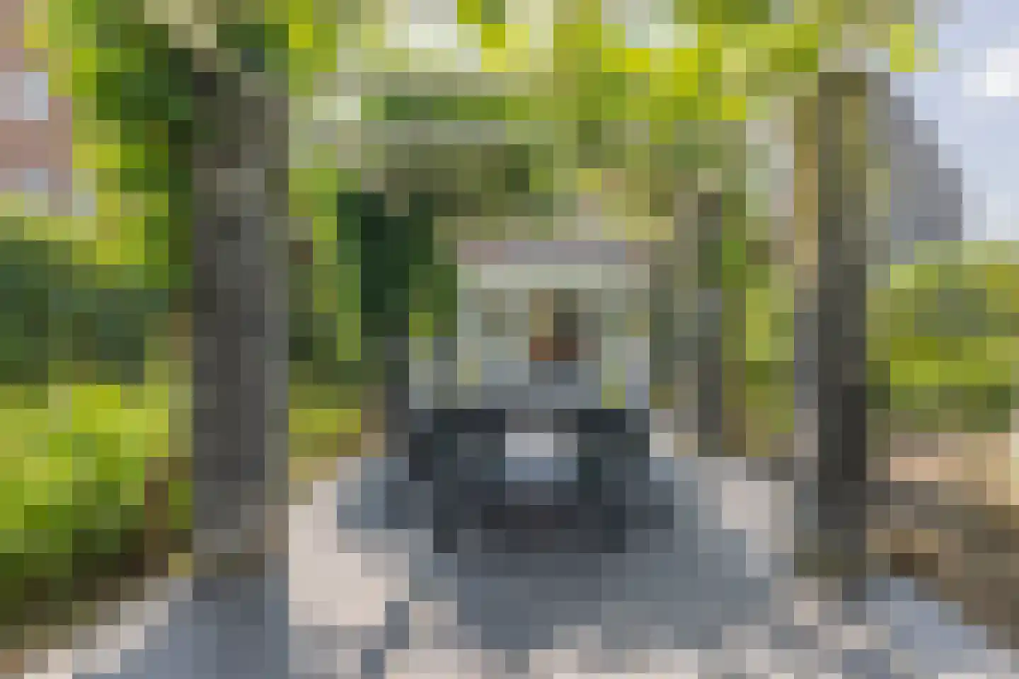 Het Hout 69 Arnhem thumbnail 15